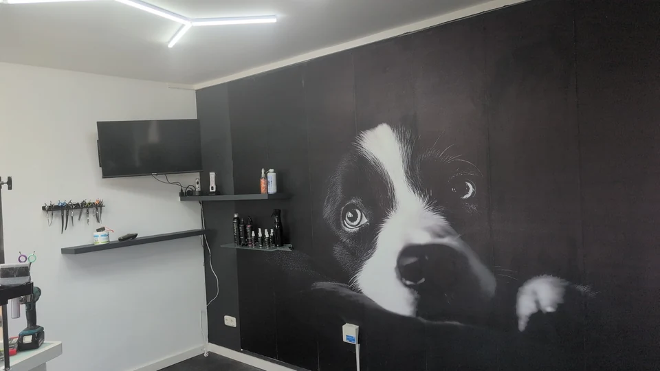 Innenraum des Hundesalons mit großer Hunde-Wandgrafik